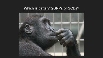 Are Guardian Shield Reinforcement Packages "Worth It"?