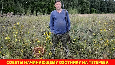 Советы начинающему охотнику на тетерева осенью