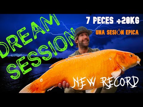 DREAM SESSION- La sesión soñada en Cavagnac Lake-  Carpfishing con Jesús Serrano