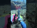 fishing tournament