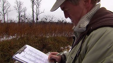 Audubon Christmas Bird Count