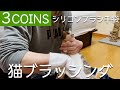 【3COINS】のヒット商品で猫をブラッシングしてみた