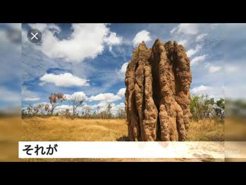バイオミメティクス