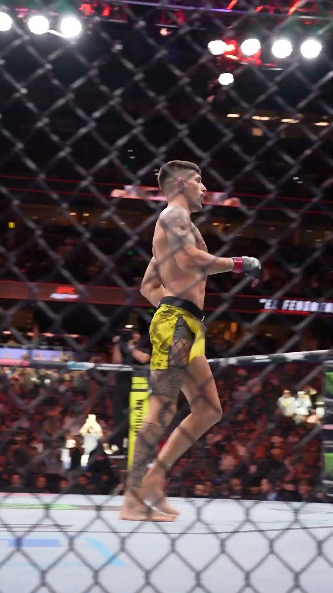 WHAT A FINISH ? #ufctampa