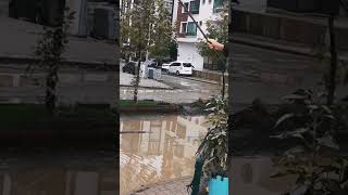 Yol Göl Olursa Ben De Olta Atarım, Ya Tutarsam