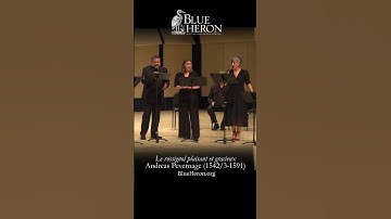 Thumbnail of Blue Heron- Pevernage "Le rossignol"