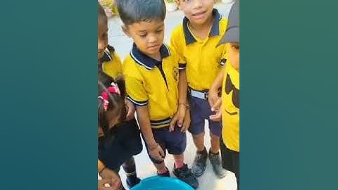 phase 2. Activity 19 sinking and floating@DaljeetGrewalDECE