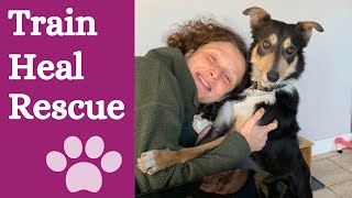 Do you want to train your dog and help rescue dogs? by Finn Paddy Dog Training 173 views 1 year ago 59 seconds