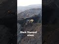 Black diamond 🖤 mines