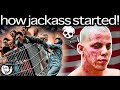 The birth of jackass according to me  steveo