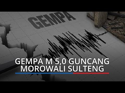 Gempa 5,0 Magnitudo Guncang Morowali Sulteng, Tak Berpotensi Tsunami