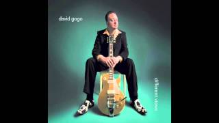 Video thumbnail of "David Gogo - Don't Bring Me Down"