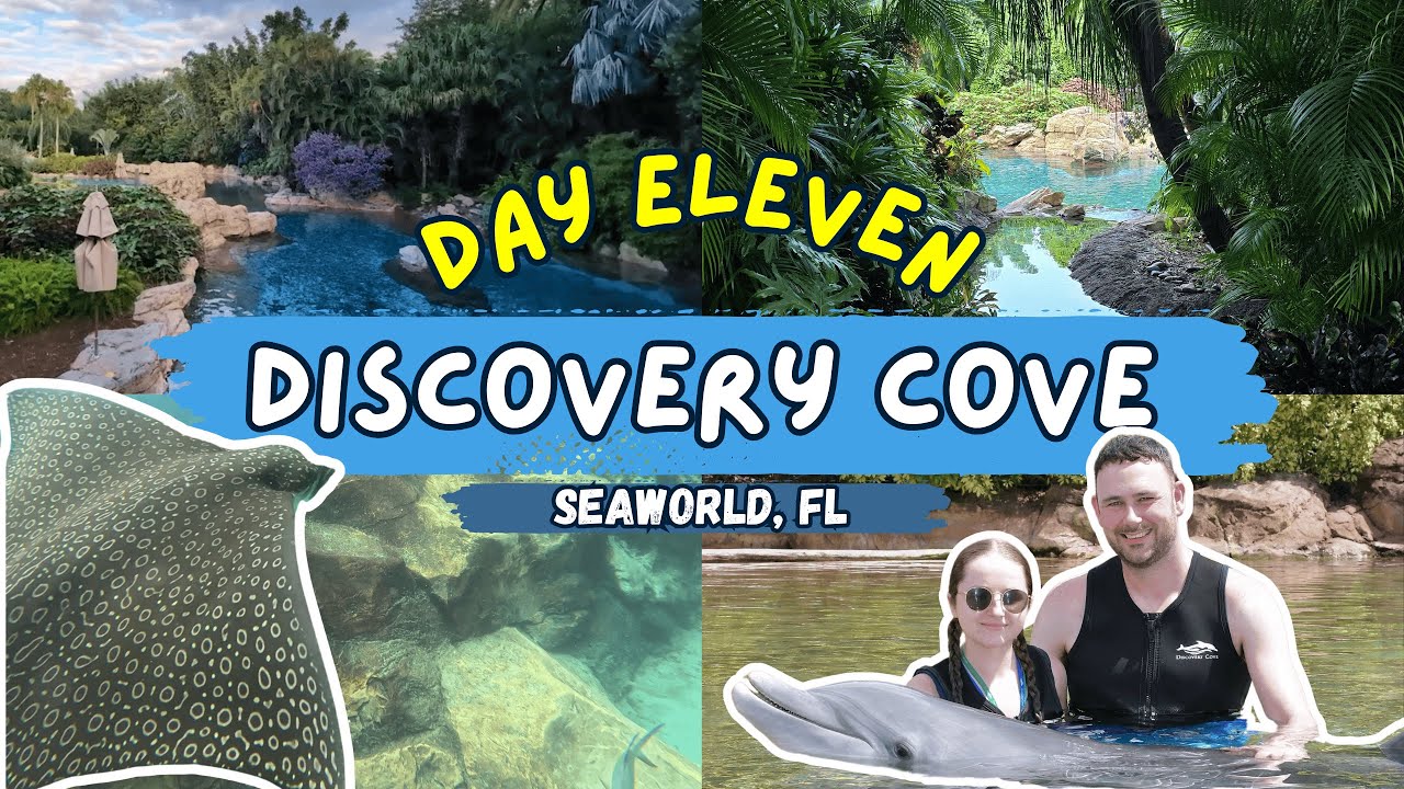 SWIMMING WITH THE RAYS! | Discovery Cove, Dolphin Swim, Snorkeling In The Reef
