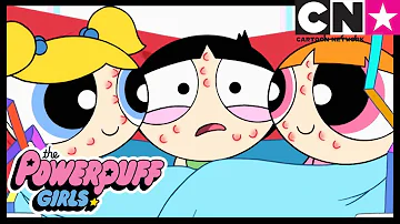 Hermanas! | Las Chicas Superpoderosas | Cartoon Network