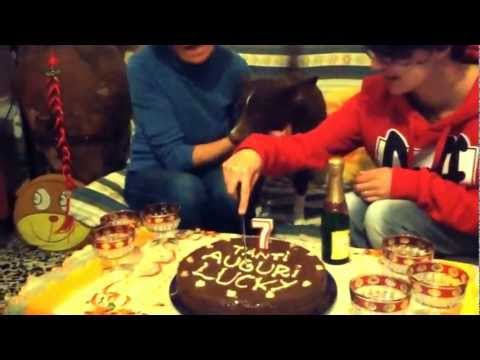 Video: Come Festeggiare Il 1° Aprile Con Gli Amici