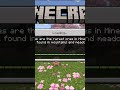 minecraft his my new server his hardcord smp #minecraft