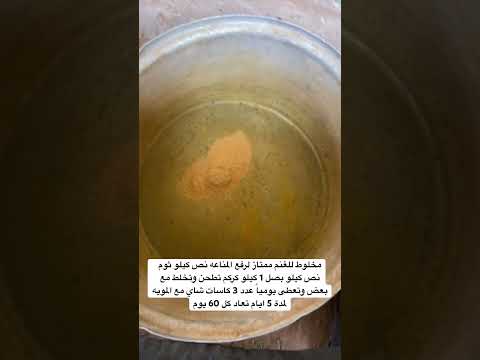 الغنم غنم ماعز ضان نجد نعيمي فيتامينات فيتامين كركم ثوم بصل بط مسكوفي بط وبر وبران