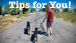 Unbelievable Secrets for Walking Your Rottweilers...Revealed!