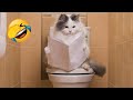New Funniest Dogs and Cats Videos😀 - Funny Animal Videos 2023😂#6