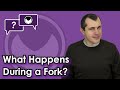 Bitcoin Q&A: What happens during a fork?