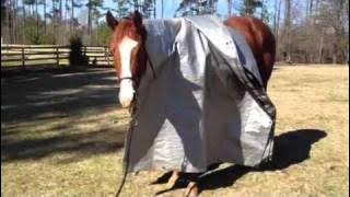 Aspire with tarp