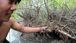 Surprisingly Found A Huge Mud Crabs In Secret Hole | Catching Big Mud Crab In Deep Hold