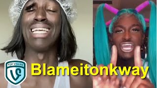 FUNNY Blameitonkway Videos Compilation  FUNNY Tik Tok Videos. || 20202021