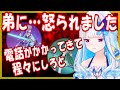 ガチャやり過ぎ、国庫のお金を使いすぎて弟に怒られるリゼ皇女