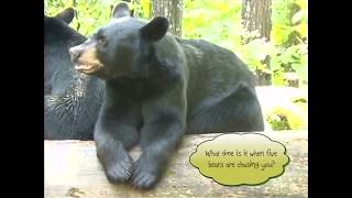 "I've Been Diggin' Out My Bear Den"