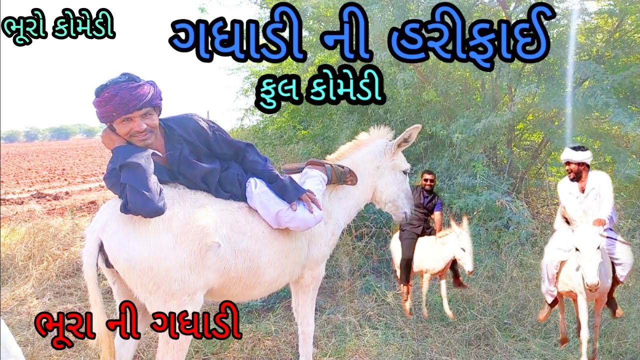 ગધાડી ની હરીફાઈ |bhurocomedy|gujaraticomedy|bccomedy