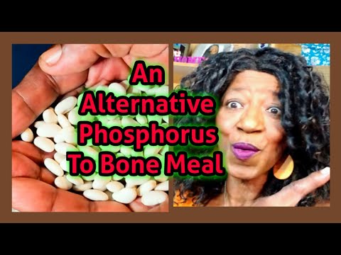 An Alternative "Phosphorus" To Bone Meal