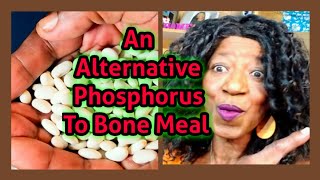 An Alternative "Phosphorus" To Bone Meal
