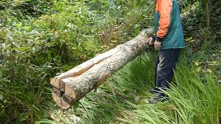 Splitting Posts from Roundwood