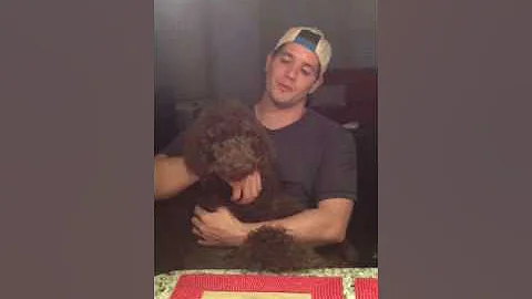 Rob video 1