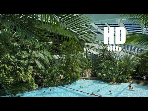 Center Parcs Longleat Forest - FULL HD Review