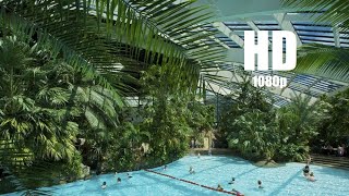 Center Parcs Longleat Forest  FULL HD Review