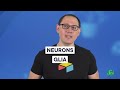 Why We’ve Been Ignoring These Brain Cells | Great Minds: Ben Barres