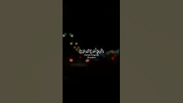 ﴿ سَبِّحِ اسْمَ رَبِّكَ الْأَعْلَى﴾ [ سورة الأعلى: ١].🌱“  [ عبدالرحمن مسعد ]