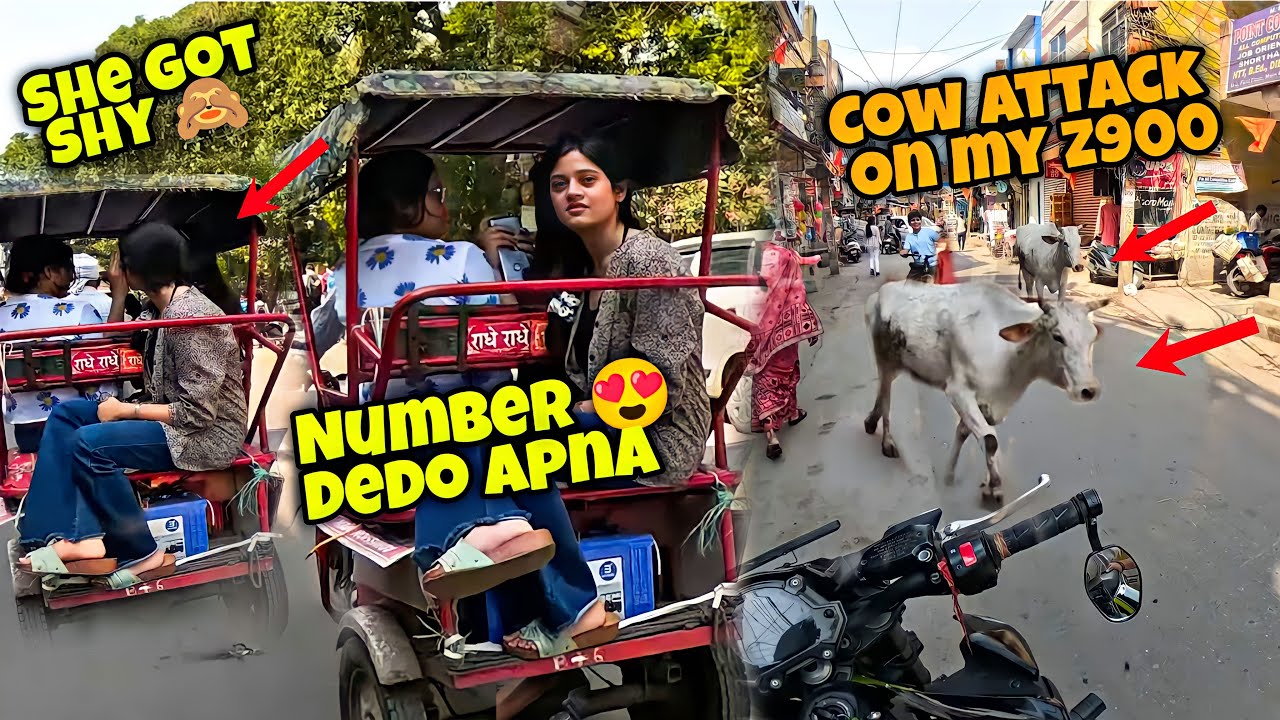 Look how she's cute😍 || She got shy🙈💖 || DU students #reaction on kawasaki z900  SuperBike Part-2