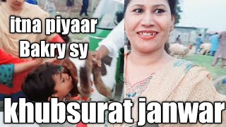 aj hum mandi mein gye|new vlog|