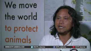 Temple in Thailand wins case to keep 150 tigers