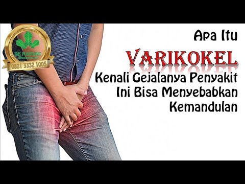  Apa  Itu  Varikokel  Kenali Gejalanya Penyakit Ini Bisa 