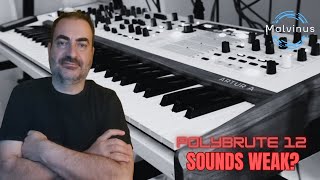 Think the Arturia Polybrute 12 Sounds Weak Watch This!