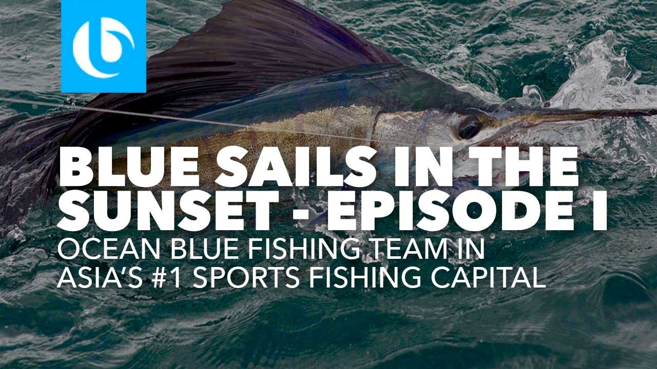 picture Atlantic Ocean Blue Fish youtube