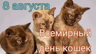 8 Августа - Всемирный День Кошек//Поздравление С Днём Кошек