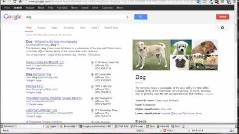 Video 11 HTML Using Meta Tags