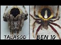 ben10 vs talasod sakmalan to the end / spider fight