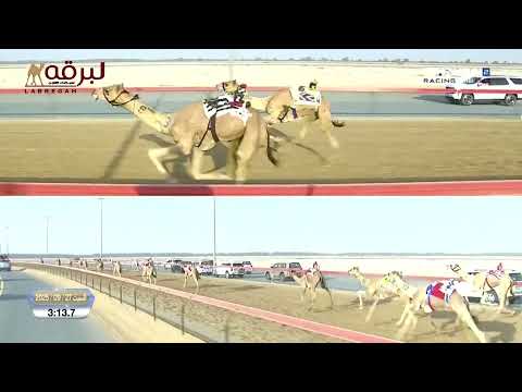 ش12 هيرلوم ل حران راشد سيف الغفلي المرموم الأسبوع الثاني 27 09 2025 لقايا قعدان محليات 6 09 1