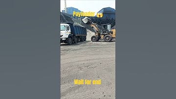 Payloader Power | #shorts #ytshorts #viral #loading