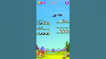 Bird Color Sort - Puzzle Game